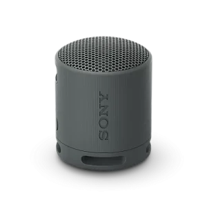 Sony SRS-XB100