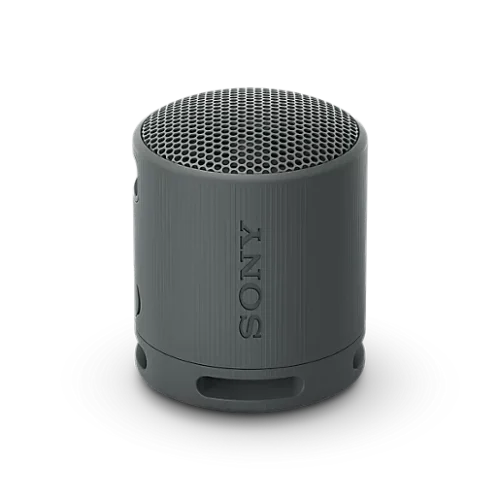 Sony SRS-XB100